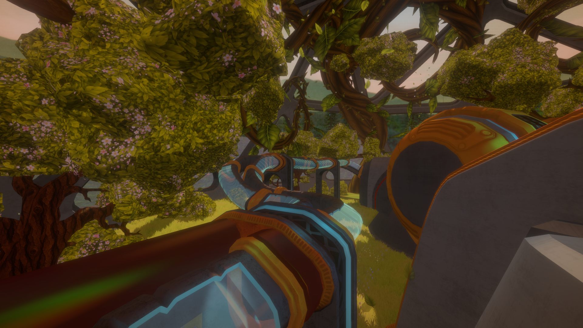 Overgrown frames on the surface, with trees growing through them